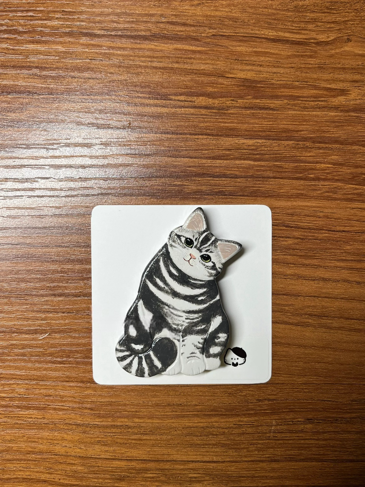 Handmade Cat Fridge Magnets | Clay Art | Customizable